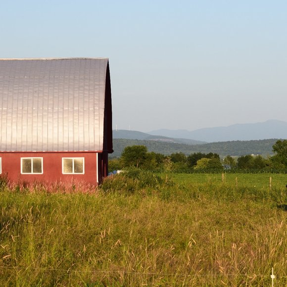 Meet your Posher, Sayde - Picture 4 of 4